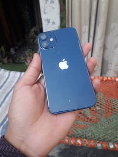 Iphone 12 mini Official Pta Approved