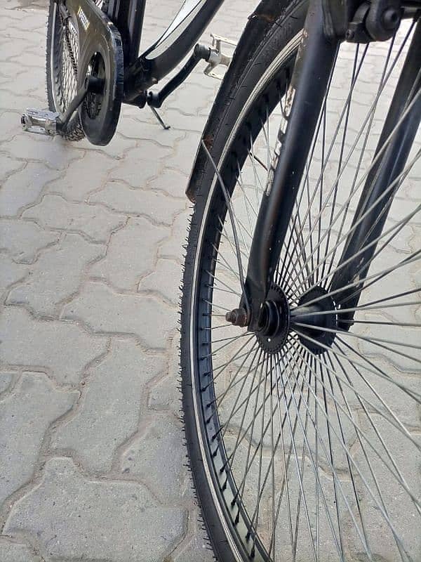 Plus 26 inches Bicycle imported in good condition 6