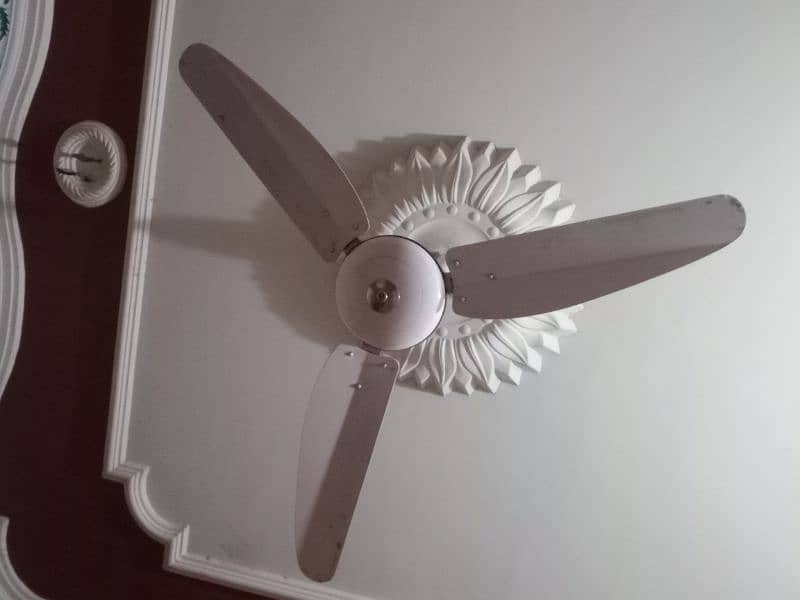 Fans for selling 1