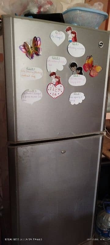 Pel fridge 0