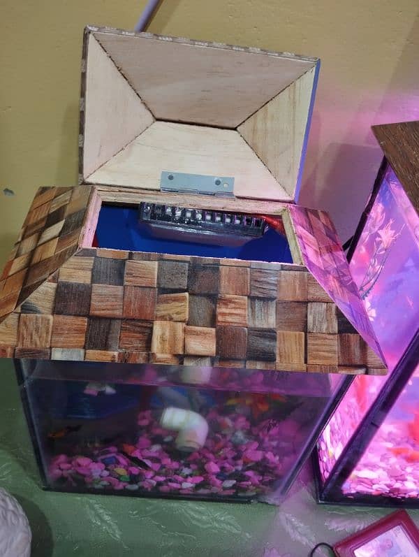 Fish Aquarium Only Aquarium And head Only 4