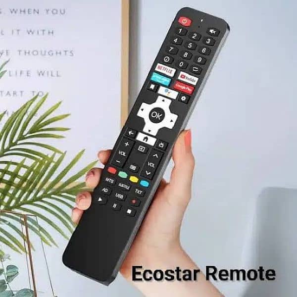 Ecostar Changhong Ruba Remote Control with Mic Voice Bluetooth options 0