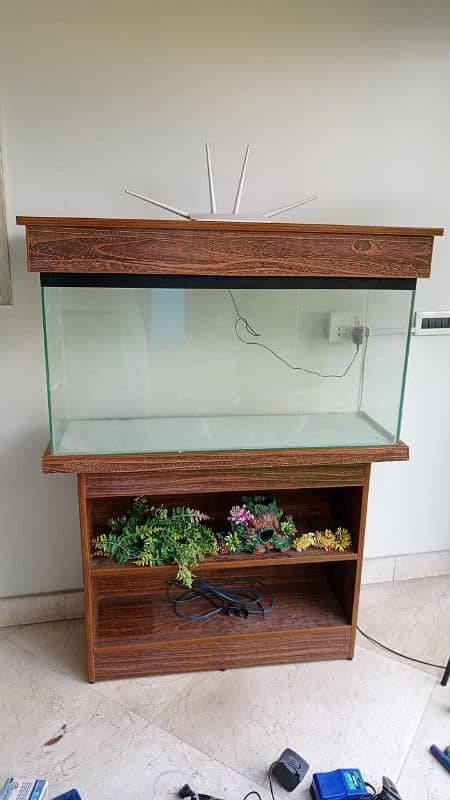 Fish Aquarium 0