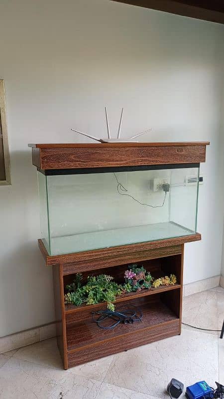 Fish Aquarium 2