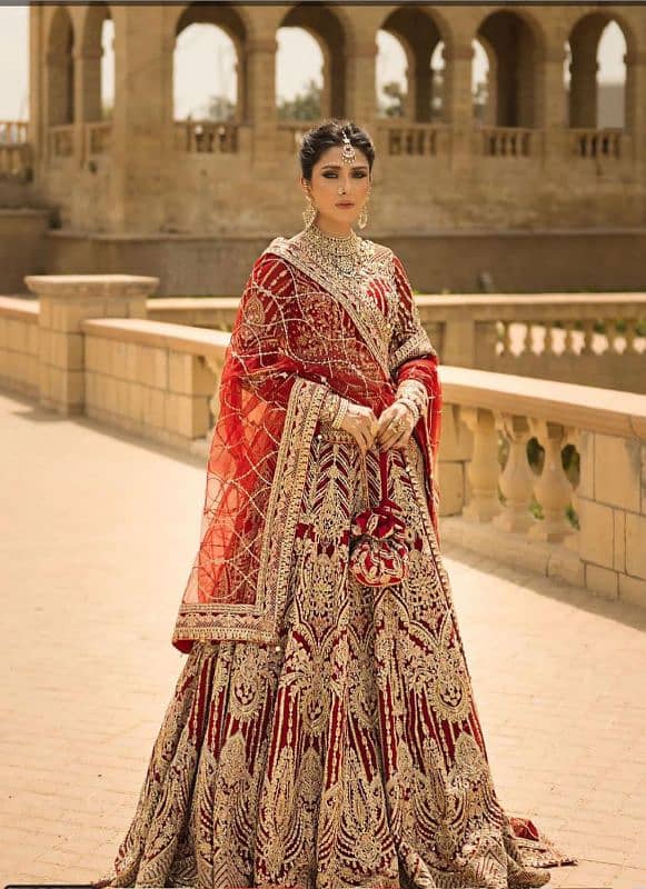 bridle lehnga 1