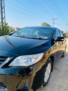 03365919041 Corolla XLI 2014