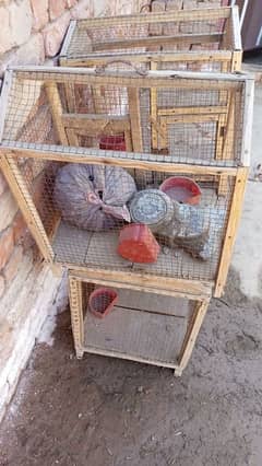 Pinjra for sell perets bird