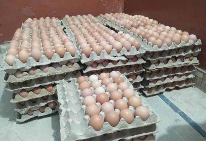 Desi Eggs / Organic Un-Fertile Eggs / دیسی انڈے | hens eggs for sale 2