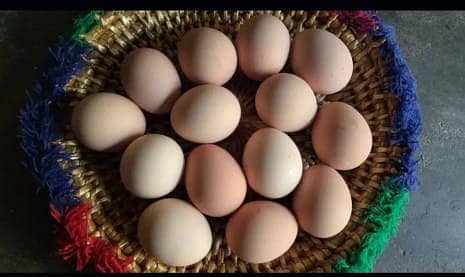 Desi Eggs / Organic Un-Fertile Eggs / دیسی انڈے | hens eggs for sale 4