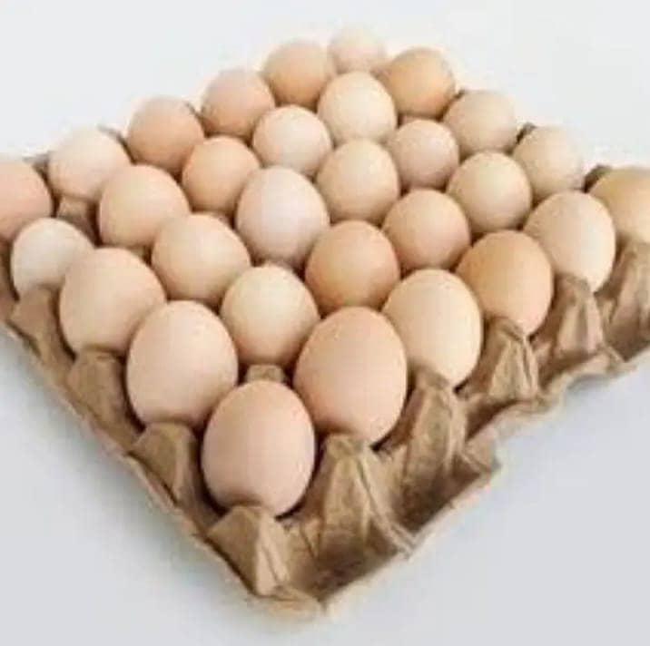 Desi Eggs / Organic Un-Fertile Eggs / دیسی انڈے | hens eggs for sale 6