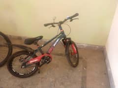 Kids Bicycle (used only 1 month)