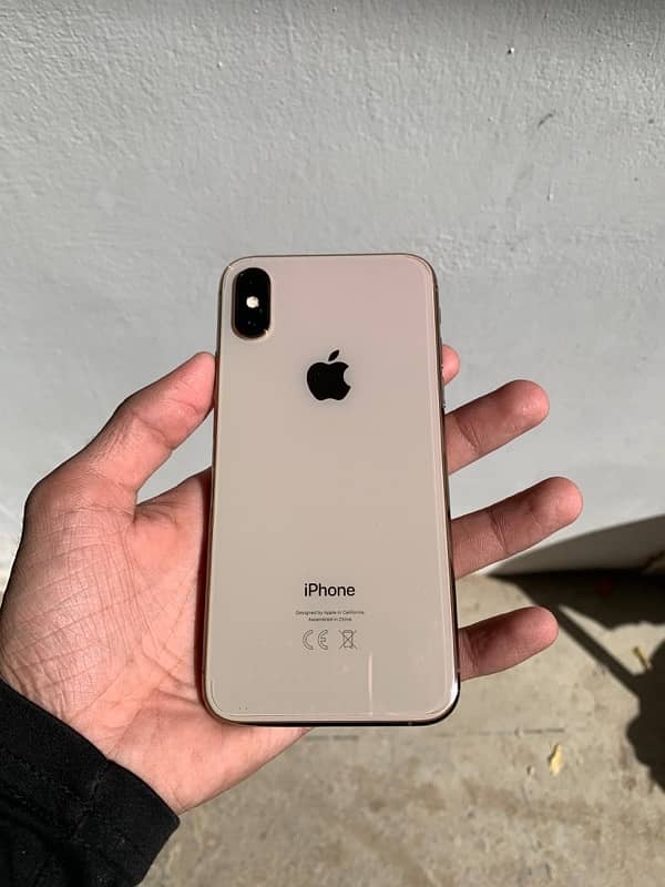 iPhone XS 1