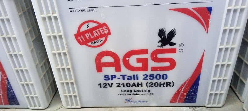 AGS Tall Tubular battery for sale 2