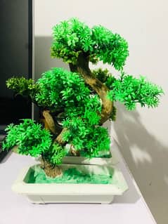 Artifical Bonsai Plants