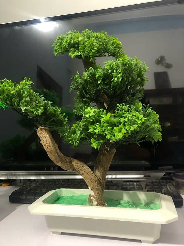 Artifical Bonsai Plants 1