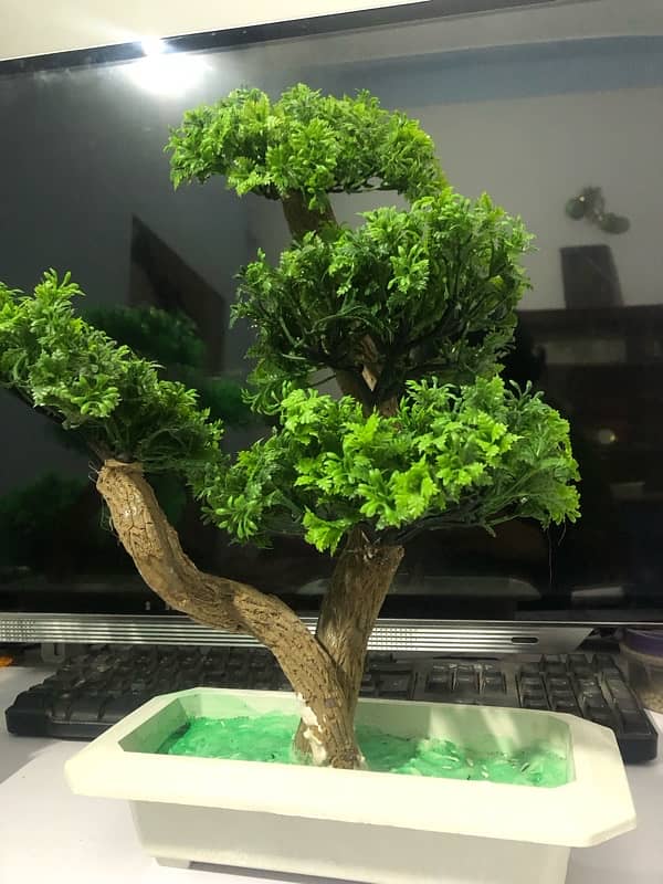 Artifical Bonsai Plants 3