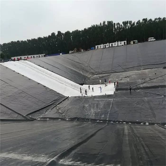 HDPE Geomembrane/High-Density Polyethylene/Waterproofing membrane 6