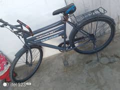 Shorab cycle size 26"condition 9/10 for sale