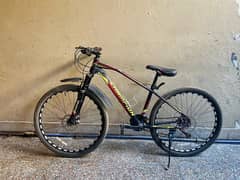 Champion 27.5 inch bicycle 12 Gears