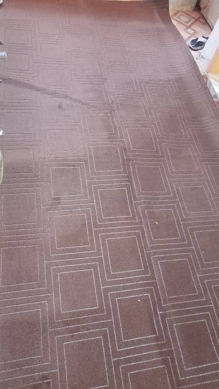 Carpet 0