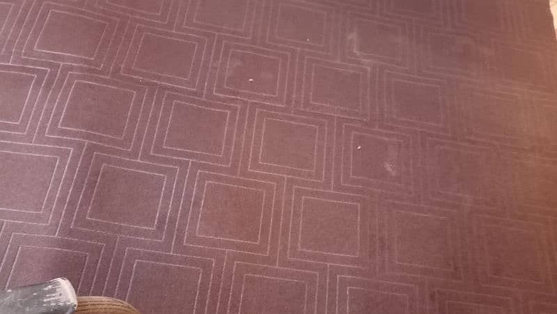 Carpet 1