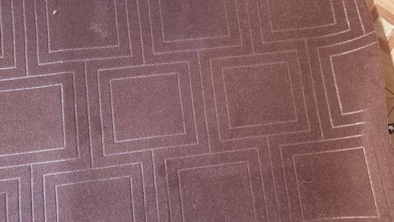 Carpet 2