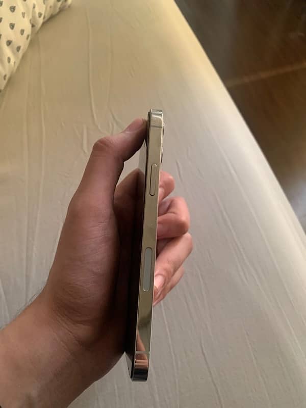 iphone 12 pro PTA approved 3