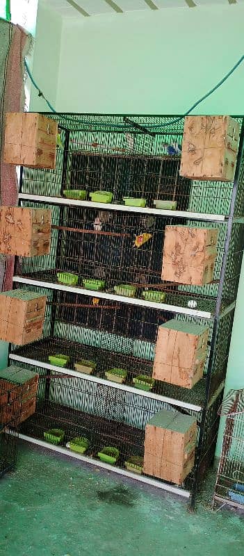 All setup for sale birds cages and boxes 0