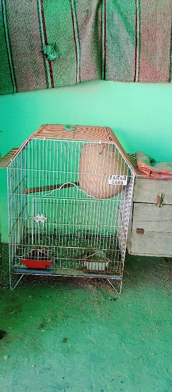 All setup for sale birds cages and boxes 3