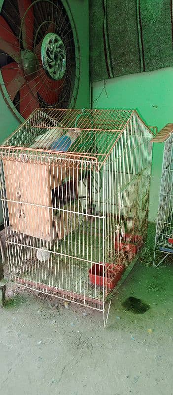 All setup for sale birds cages and boxes 4