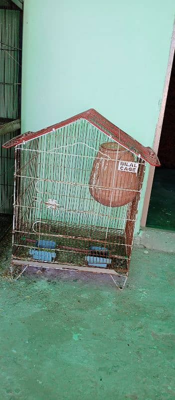 All setup for sale birds cages and boxes 5