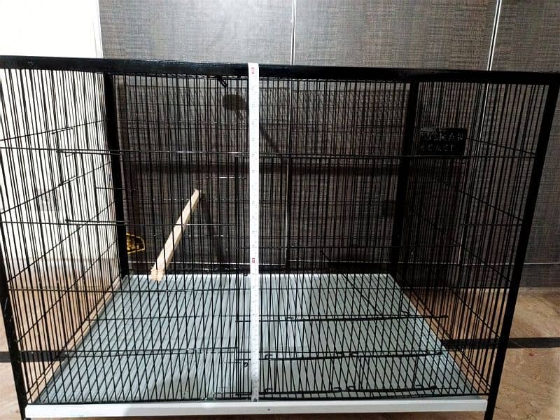 10/ 10 condition cage 3/2 1