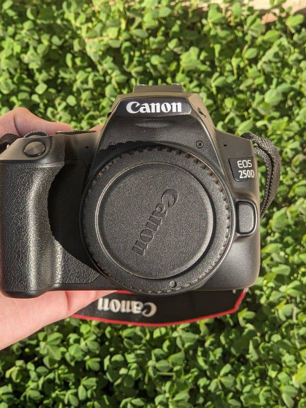 Canon 250D 4K DSLR 1