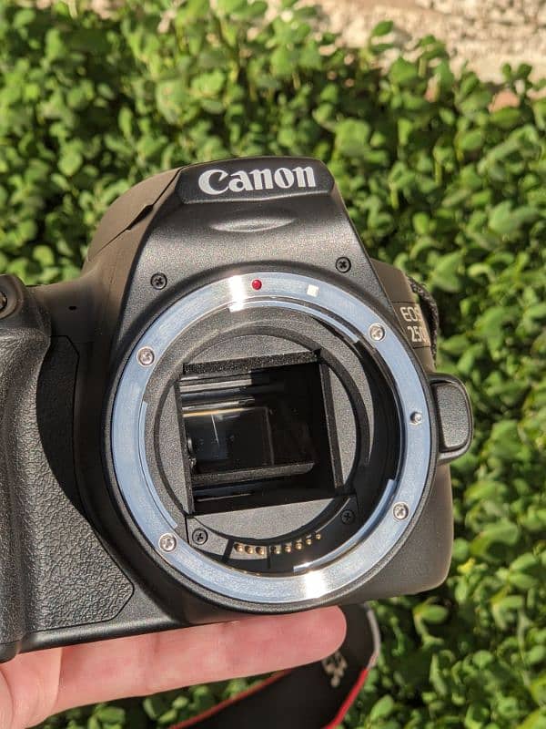 Canon 250D 4K DSLR 4