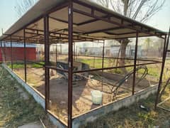 7 Kanal Agriculture Land  4 Sheds of Poultry