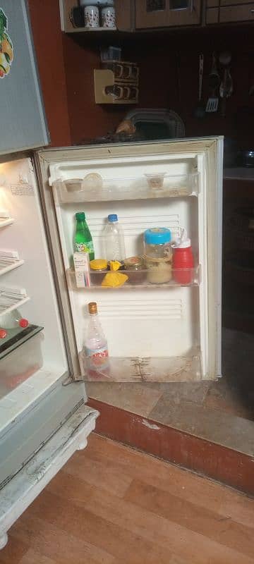 pel refrigerator 2