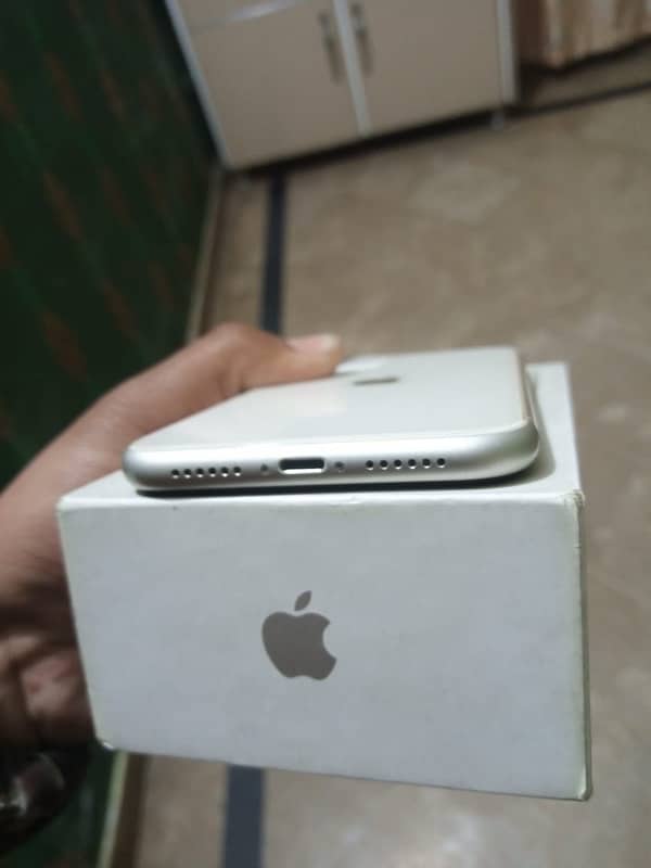 iPhone 11 Pta approved box Charger available ha 2