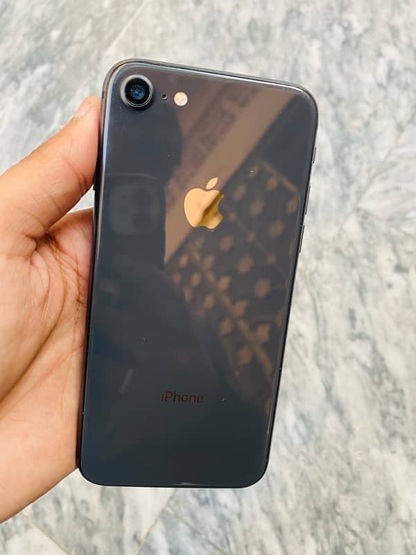 iphone 8 pta approved 2