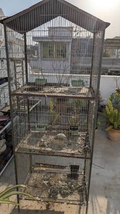 pigeon cage 2/1/1½