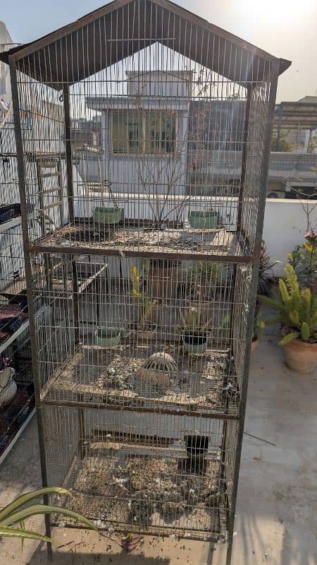 pigeon cage 2/1/1½ 0