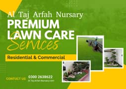 AMERICAN / NATURAL GRASS WHOLESALERS - Al Taj Arfa Nursery