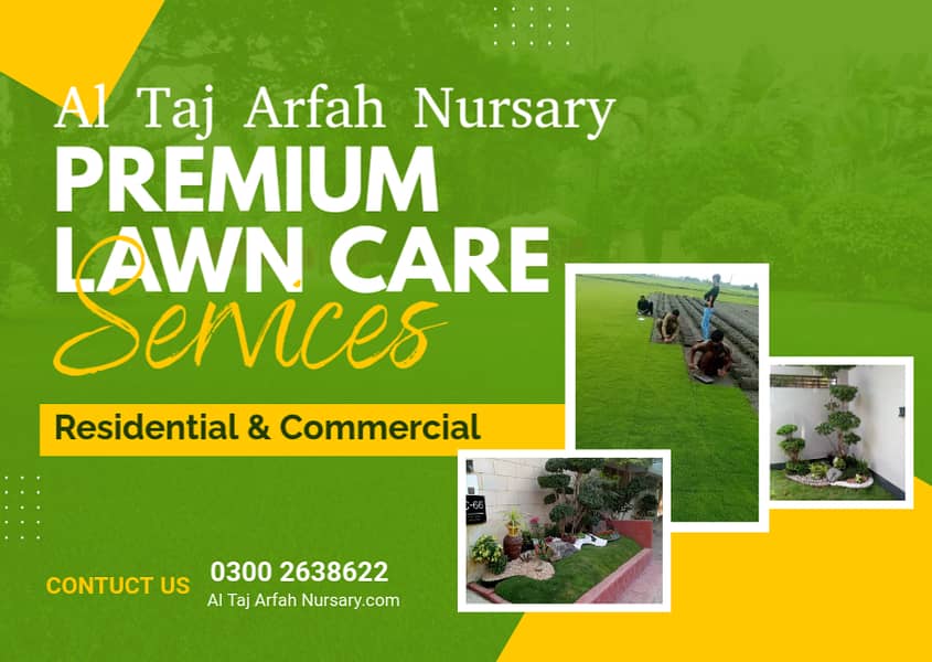 AMERICAN / NATURAL GRASS WHOLESALERS - Al Taj Arfa Nursery 0