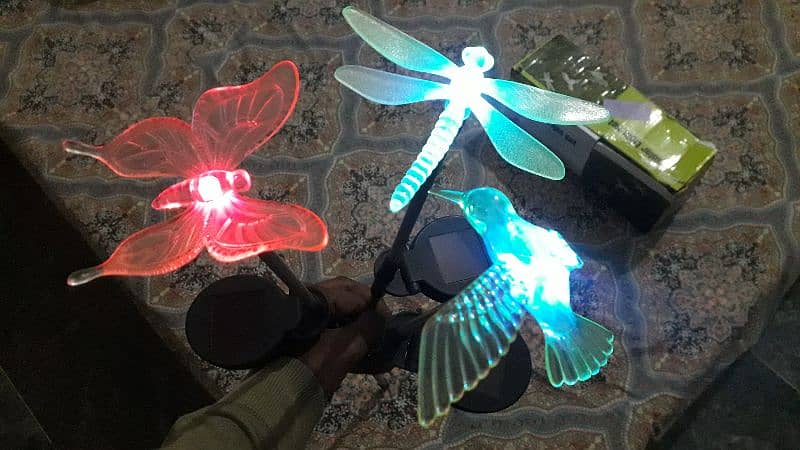 Solar Garden Lights 0