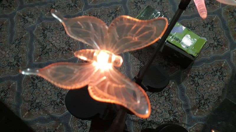 Solar Garden Lights 6