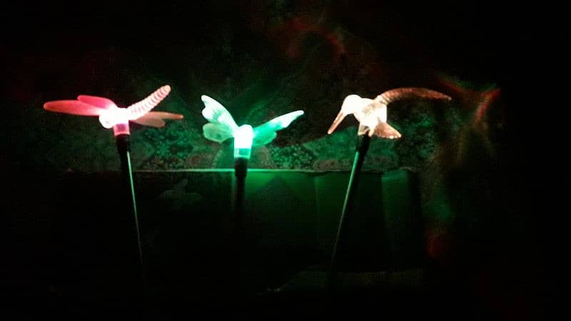 Solar Garden Lights 9