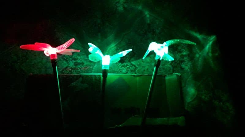 Solar Garden Lights 13