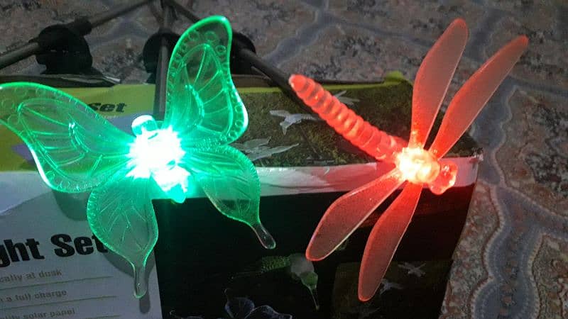 Solar Garden Lights 19