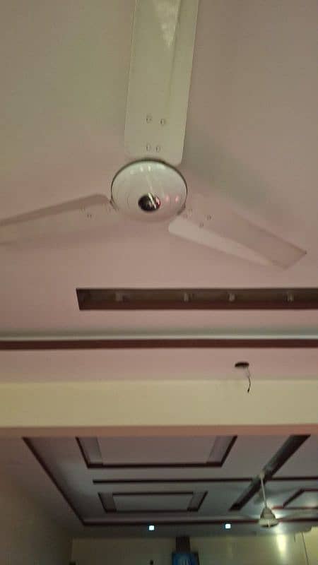 Three Royal ceiling fans only 5 months used 0