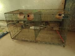 love birds cage, 2 portion