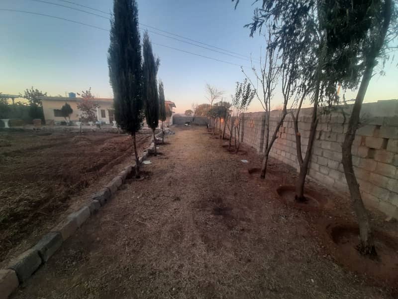 Farm House for sale Fateh Jang Road 6